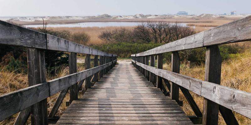 手表表冠故障全解析：松动、拔不出的原因与专业维修方案 | 济南钟表保养指南