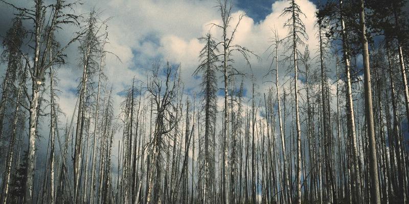 济南专业修复指南：如何保养与修复卡西欧G-SHOCK等户外运动腕表的防震防水功能