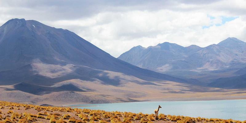 济南钟表维修72：守护精密计时，让时间仪器重焕新生