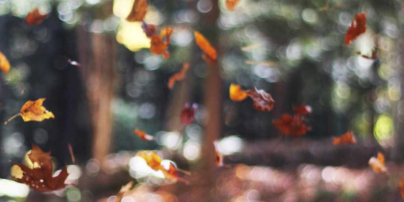 济南钟表维修：守护时间仪器的匠心传承与天明钟的时光密码