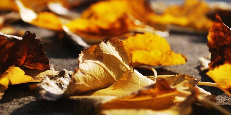 济南钟表维修指南：从古董钟修复到现代时间仪器的专业选择