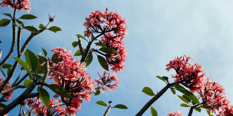 济南钟表维修指南：从天明钟保养到专业修复的全面解析