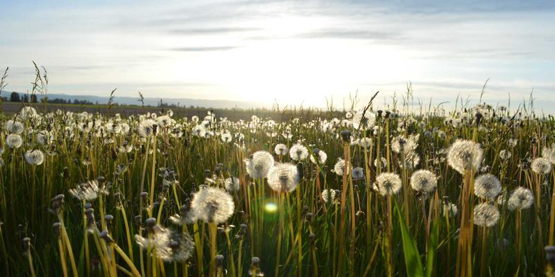 济南钟表维修收费标准全解析：从精密计时保养到古董钟修复，天明钟等名表如何定价？