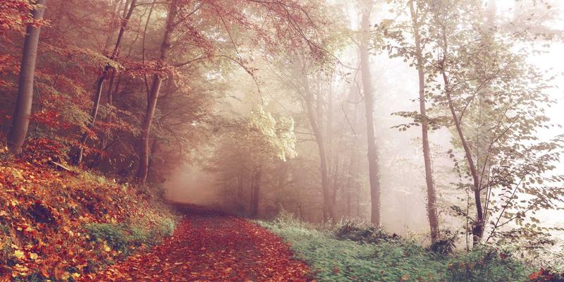 济南钟表维修：让古董钟重获新生的时间艺术